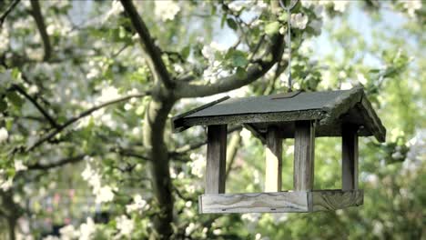 봄 테마의 가을 꽃잎의 세부 사항. 사과 꽃 꽃