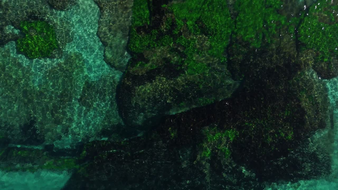 Top down drone of Cronulla reef with clear water and coral texture below surface, natural backdrop background, Sydney NSW Australia