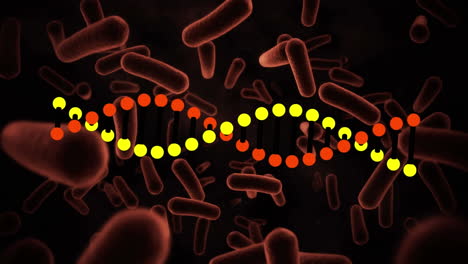 animación de la cadena de adn que gira sobre las células sanguíneas