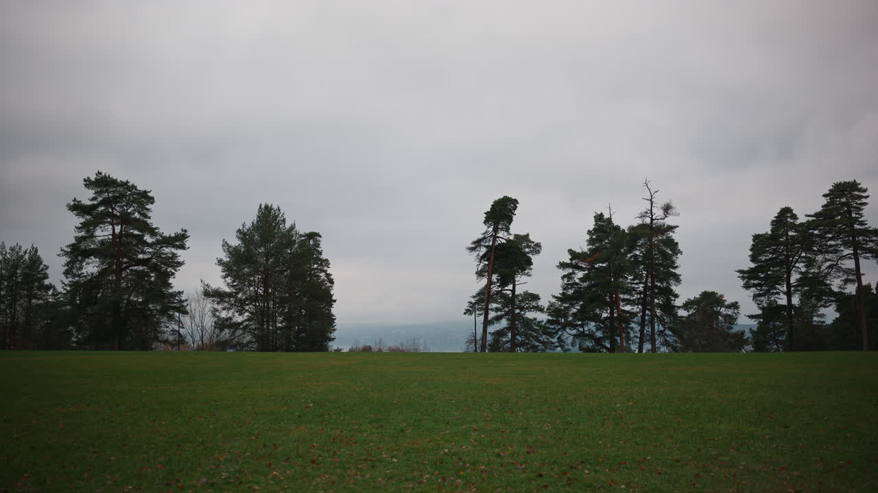 Wide landscape shot of grass field with some trees in the background on a bright autumn day