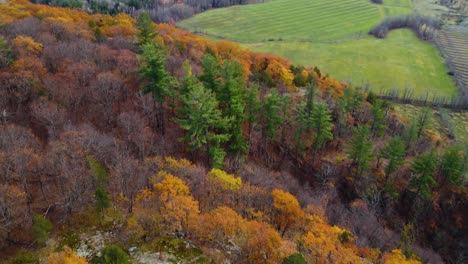 Vista-Aérea-De-Una-Caminata-Al-Borde-Del-Parque-Gatineau-Y-El-Valle-De-Ottawa-En-Otoño