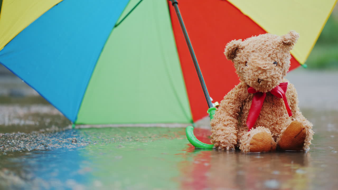 외로운 테디베어가 빗속에서 웅덩이에 앉아 있다 4k 비디오