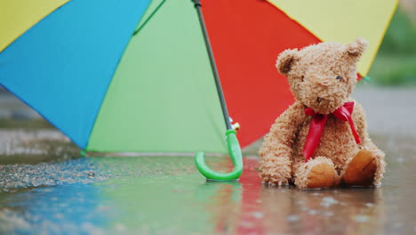 oso de peluche solitario se sienta en un charco bajo la lluvia video 4k