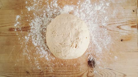 bread dough rising on wooden table