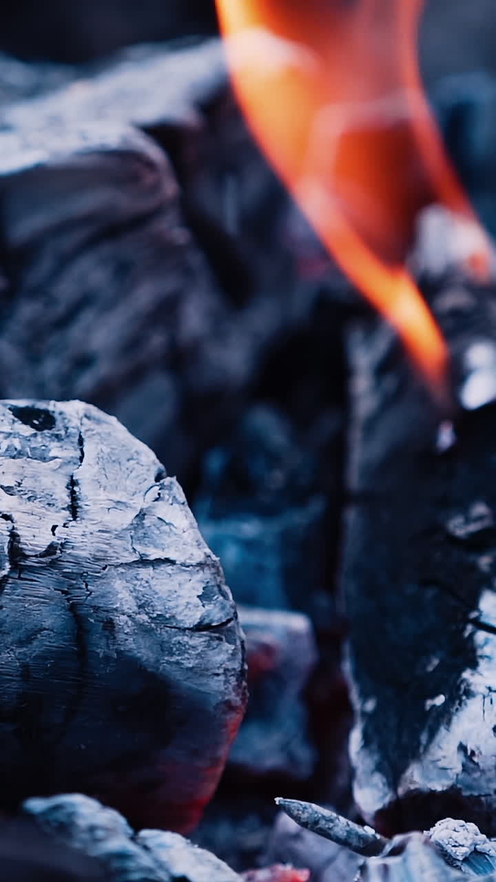 Dry wood logs burning in slow motion. Smoldering and burning firewood with ash. Close-up. Vertical video