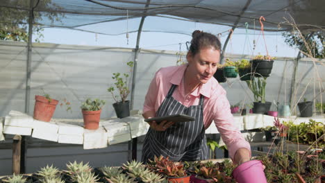 gardener using tablet while tending to plants in greenhouse nursery