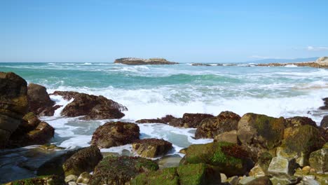 pescadero state beach and cliffs number eight