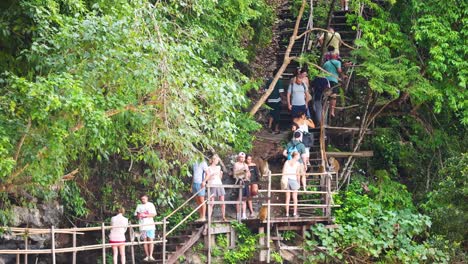 group ascending wooden stairs in lush forest