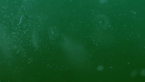 animation of white moving spots on green background