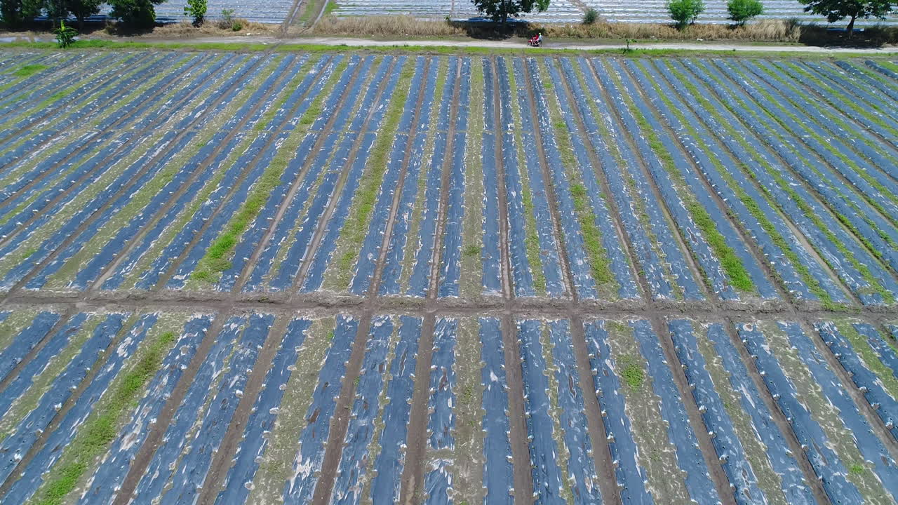 Low Level Aerial Shot Of A Farm With Plastic Covers To Protect From Heat