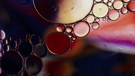 abstract colorful food oil drops bubbles and spheres flowing