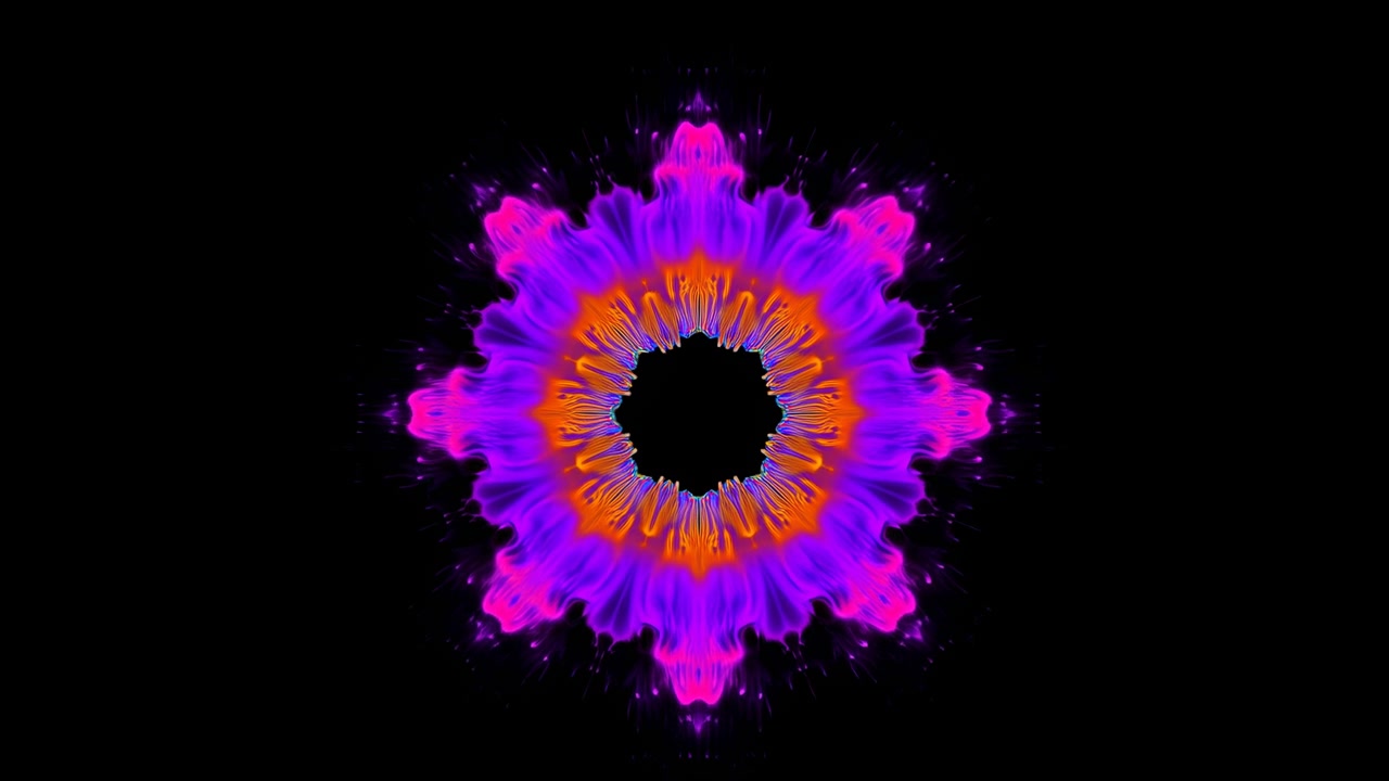 Un fiore sboccia elegantemente su uno sfondo scuro in vivaci tonalità di viola e arancione, creando un contrasto sorprendente e un vibrante impatto visivo per gli appassionati di natura, botanica e design floreale