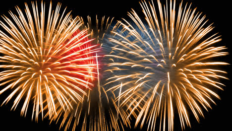 vibrant fireworks illuminate night animated overlay, transparent 4k video, alpha channel, prores