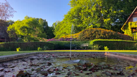 beautiful fountain in a nature park