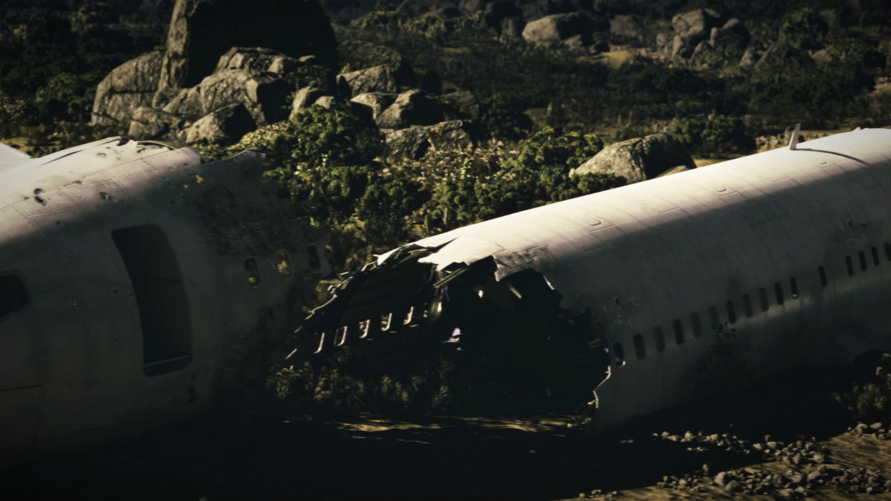 Vinecovered aircraft fuselage analyzed by search and rescue team