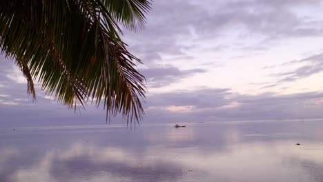 opunohu bay on the splendid moorea island during sunrise in tahiti, french polynesia. aerial panning shot