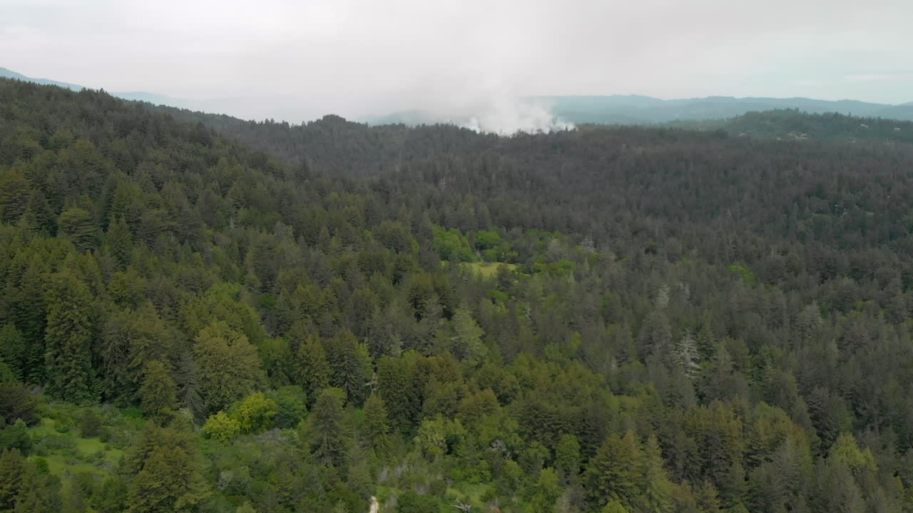 Aerial Dolly Forward of Smoke from Forest Fire