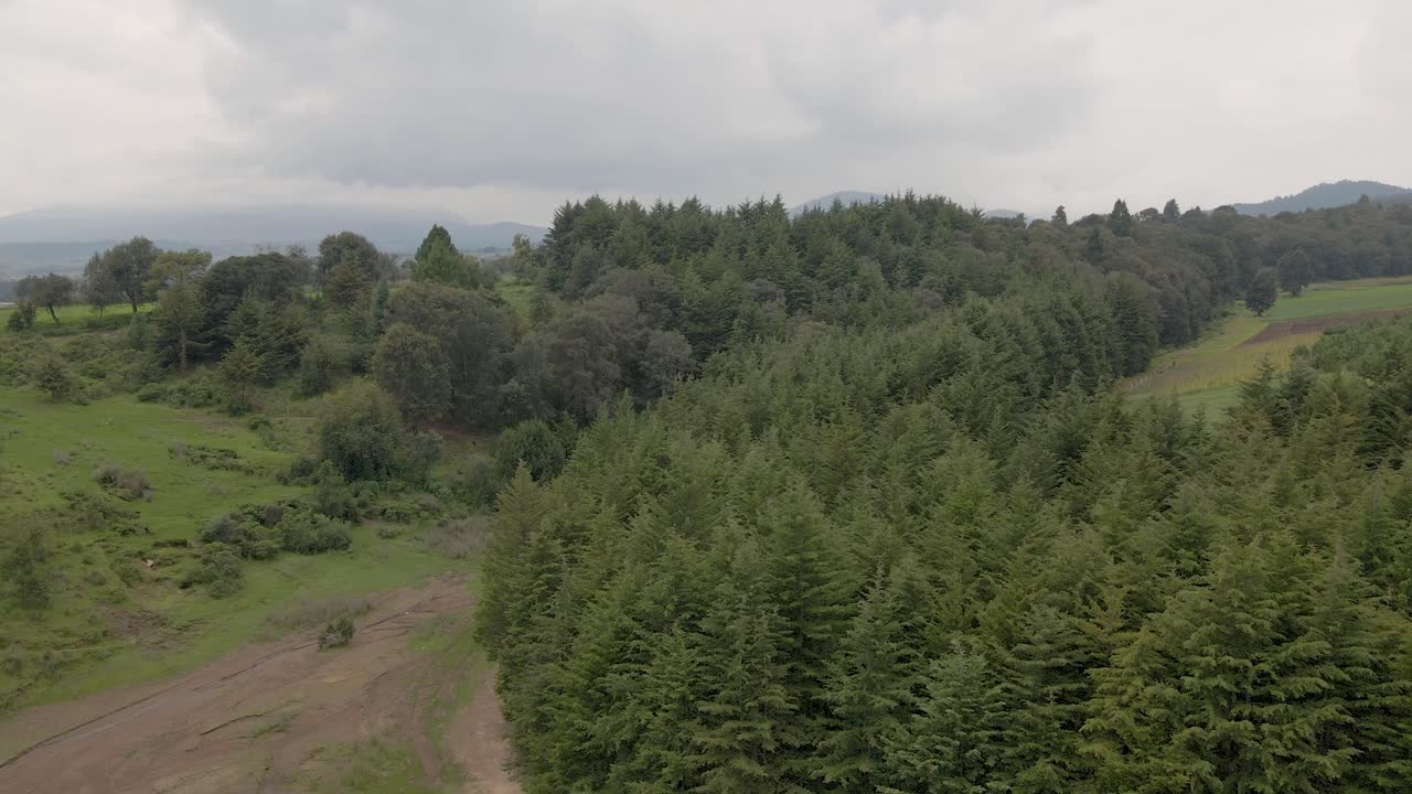 dron volando hacia atrás sobre la ruta de senderismo en el punto de vista del punto de vista del bosque tropical