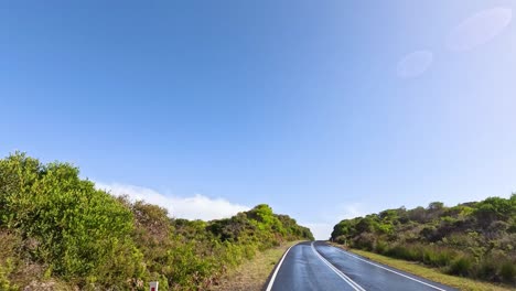 a serene drive through lush greenery