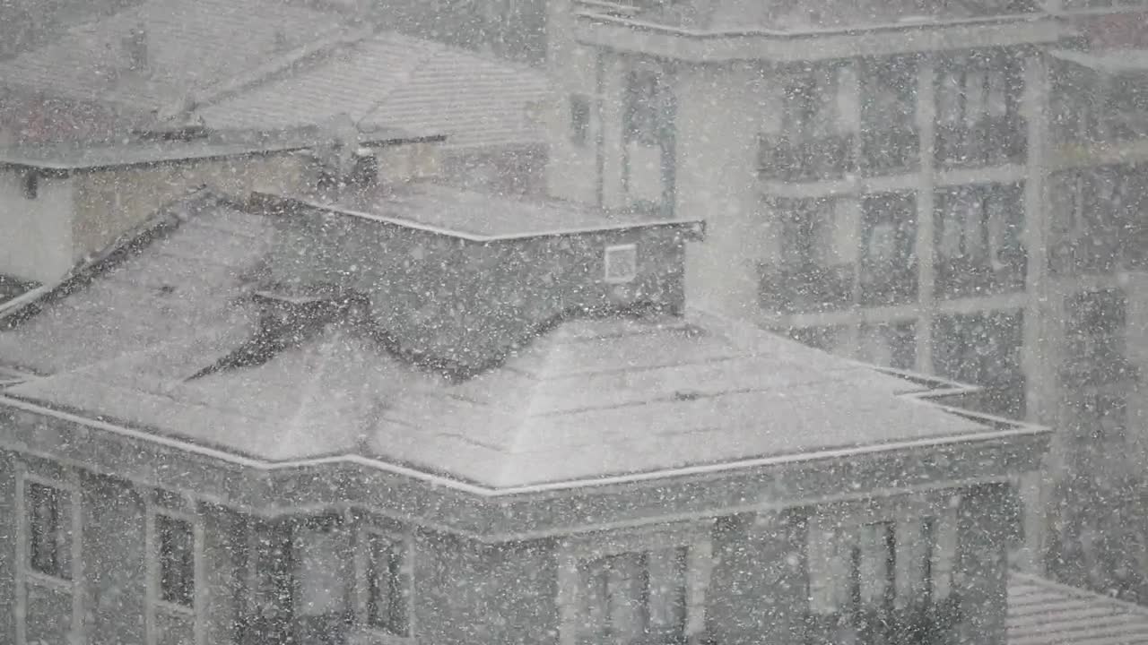 도시 건물에 내리는 눈