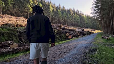 black-male-hiking-on-trail-up-peaceful-lush-high-elevation-green-forest-with-sun-flares-tracking-shot-from-behind