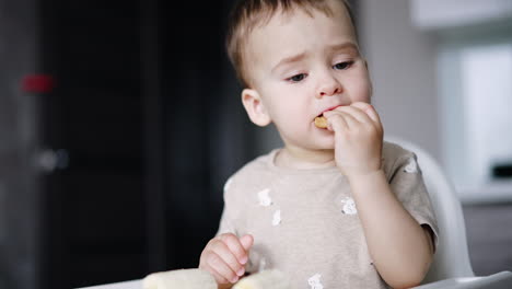 lovely thoughtful baby boy eating a cookie. kid sits at high chair tasting slowly every piece. close up.