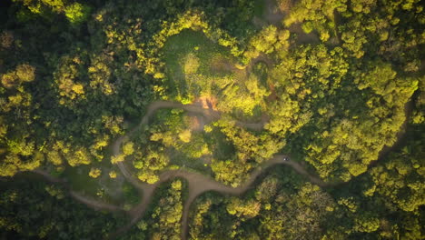 Car-driving-on-winding-dirt-roads-in-a-thick-rainforest