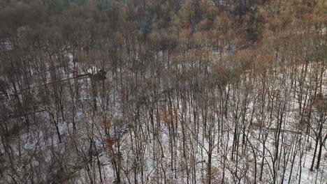 Toma-Aérea-De-Un-Dron-Del-Paisaje-Forestal-Invernal-En-Mount-Sequoyah,-Arkansas