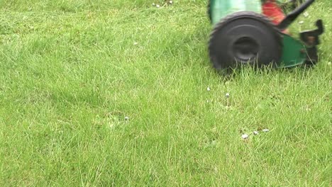 Man-Cutting-the-Lawn