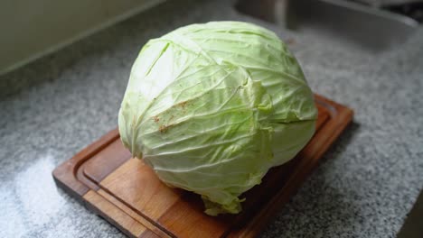 close up of fresh white cabbage on the wooden board