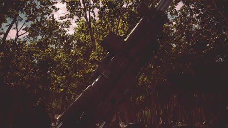 big-gun-cannon-in-the-forest