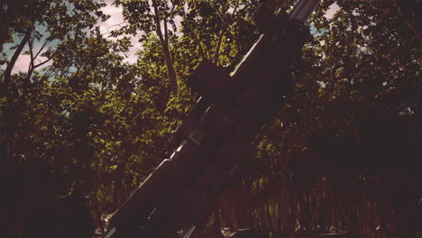 gran cañón en el bosque