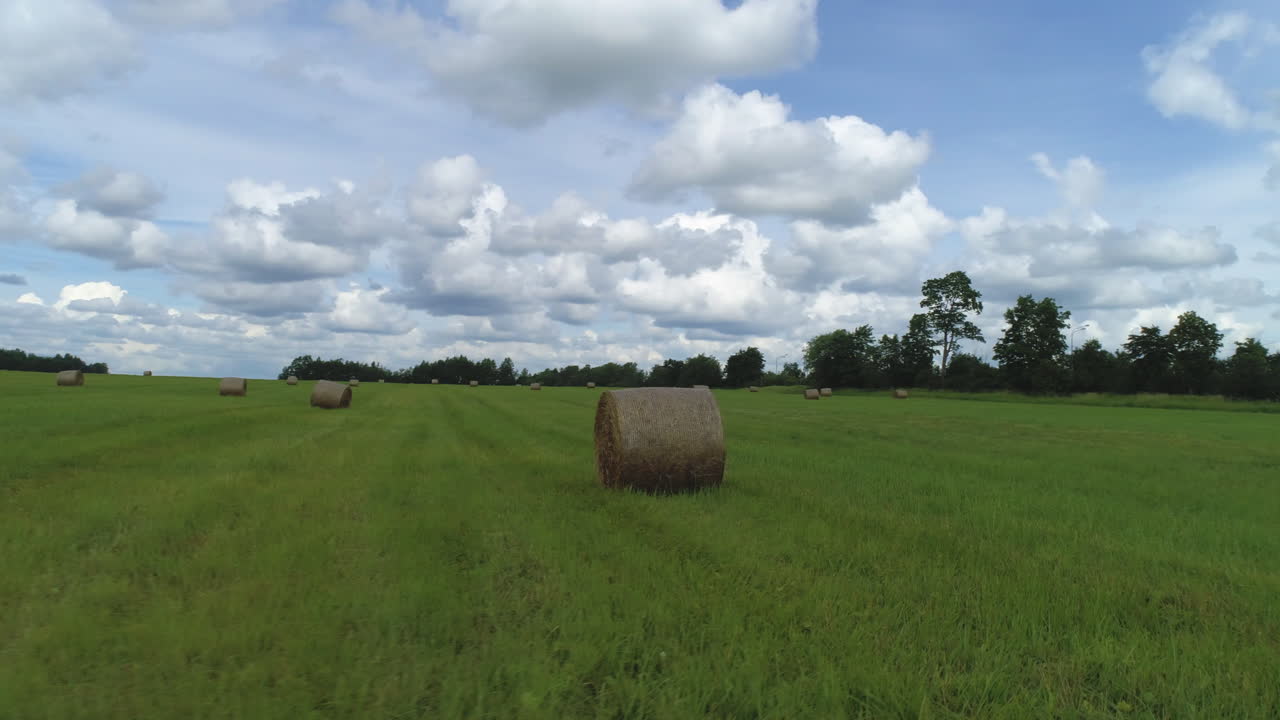 balas de heno en un campo verde