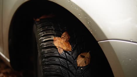 car tire with leafs on it while being parked in the forest during fall on a rainy day