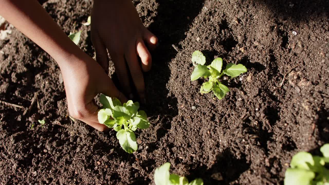 montaje de feliz senior afroamericano abuelo y nieto jardinería, cámara lenta