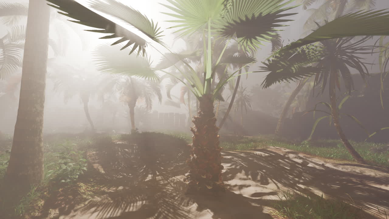 una mañana de niebla en un bosque tropical