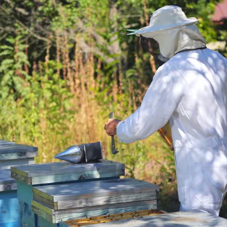 beekeeper is working with bees and beehives on the apiary. beekeeper on apiary