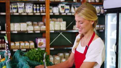 female staff checking vegetables in organic section