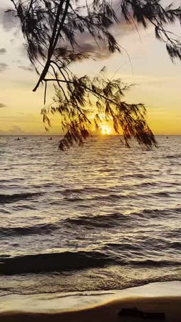 vertical view of a sunset over the tropical ocean, serene waves and orange skies with wispy tree and needles hanging over surfers