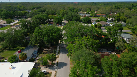 dense trees and road through residential area in tampa, florida. aerial drone shot
