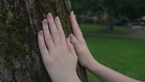 Hermosa-Joven-Sintiendo-La-Corteza-De-Un-árbol,-Panorámica-Desde-Su-Rostro-Hasta-Sus-Manos-Detalle