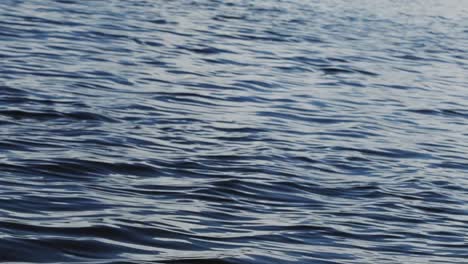 side of a speedboat looking at brown river water on a huge river surrounded by a mangrove forest inside of the tropical ecological nature reserve sian ka'an in riviera maya, mexico near tulum