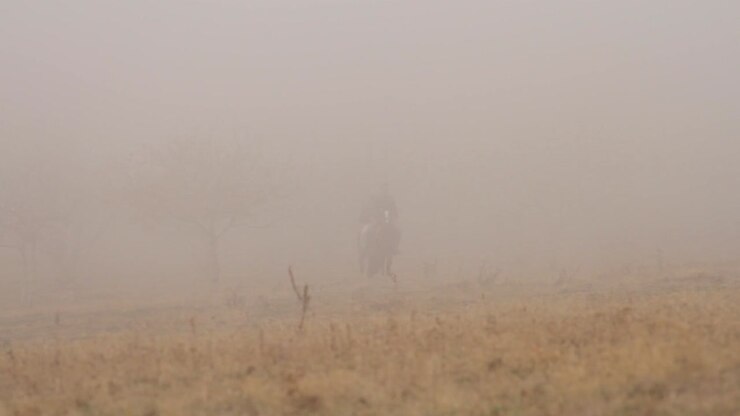 Horseback Riding in Misty Countryside
