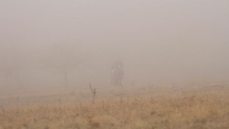 horseback riding in misty countryside