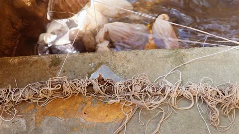 people-cooking-offerings-in-natural-holy-hot-spring-water-at-day-from-different-angle