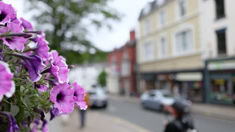 flores púrpuras con calles y edificios de fondo