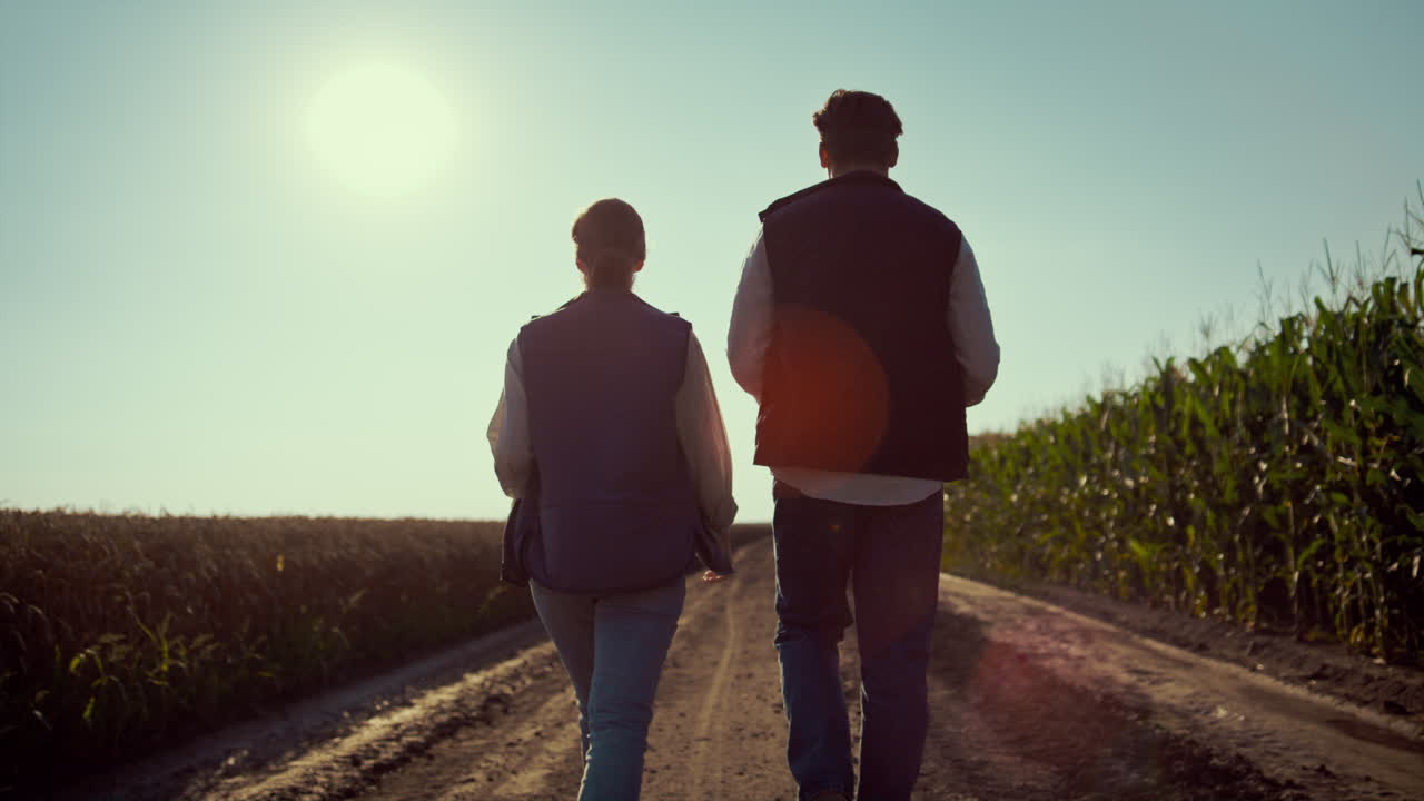 농학자 팀은 지상 도로 뒤쪽을 볼 수 있습니다. 농업 산업 노동자.