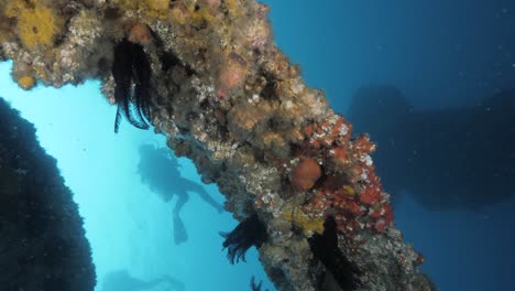 a unique view of a scuba diver exploring a underwater art structure created as an artificial wonder reef