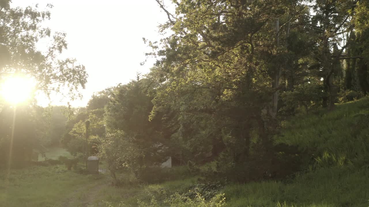 Sunrise over a forest near Cape Town, South Africa