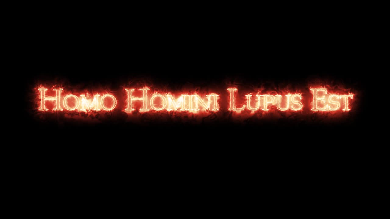 호모 호미니 루푸스 (homo homini lupus) 는 불로 쓰여져 있습니다.